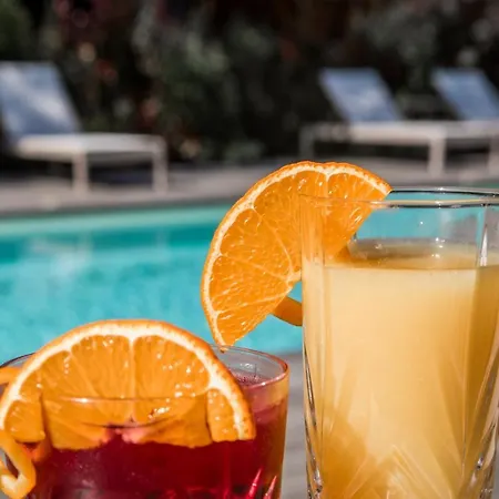 Le Des Iles D'or Hotel 4*