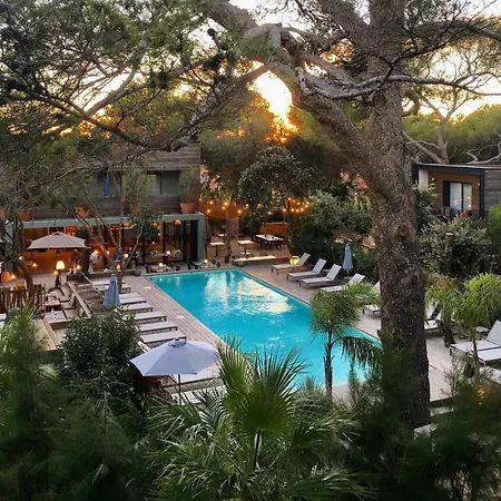 Hotel Le Des Iles D'or Hyères