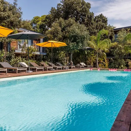 Le Des îles D'or Hotel Hyères
